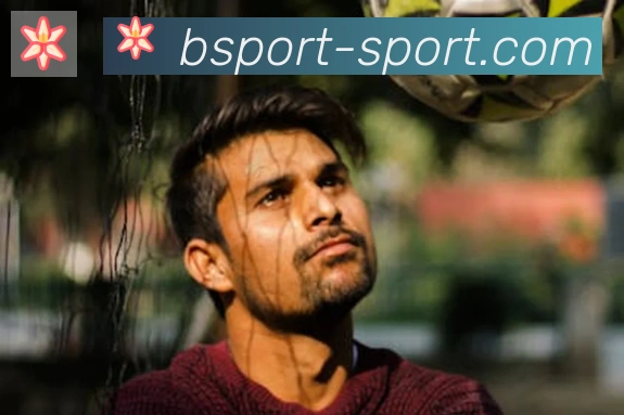 Bsports官网APP 封面图