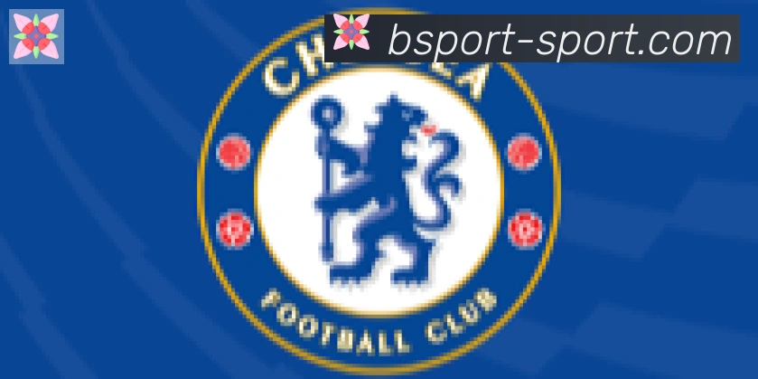 Bsports官网合作伙伴