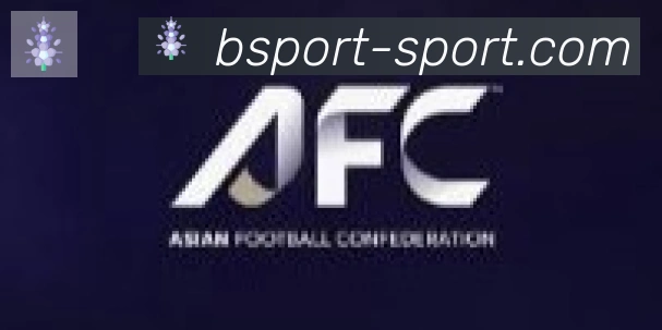 Bsports官网合作伙伴